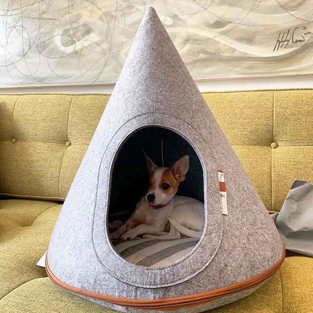 Ro pet cave3